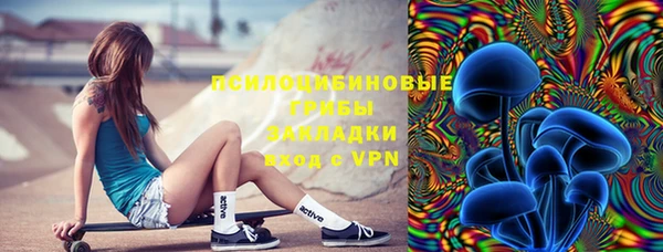 мдпв Абаза