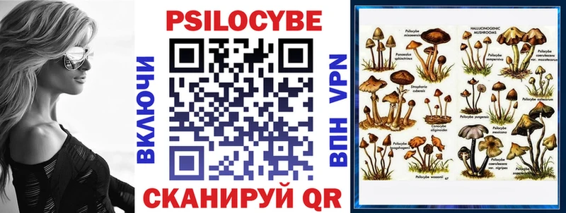 Псилоцибиновые грибы мухоморы  купить наркоту  Зеленогорск 