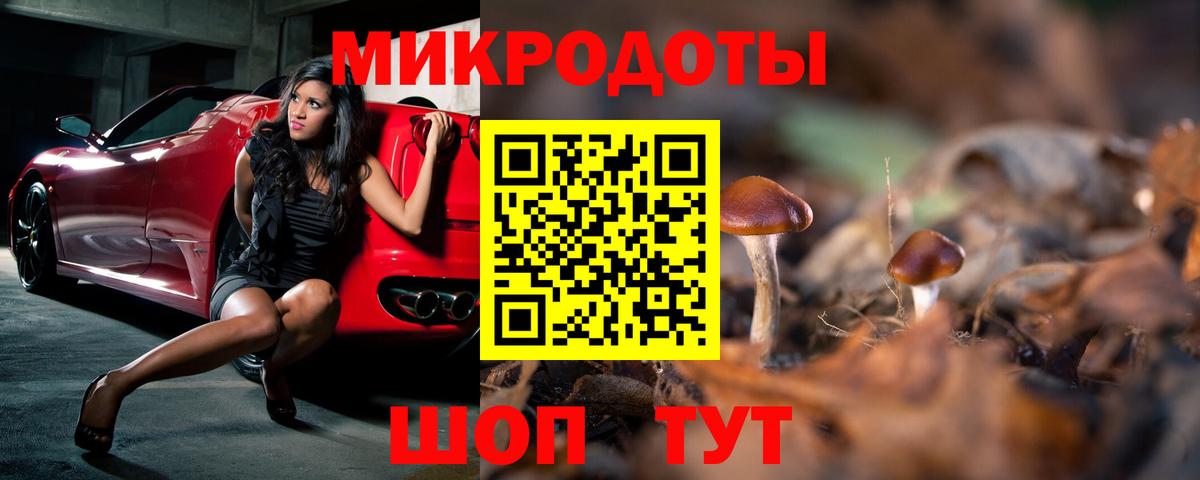 МЕТАМФЕТАМИН Зеленогорск