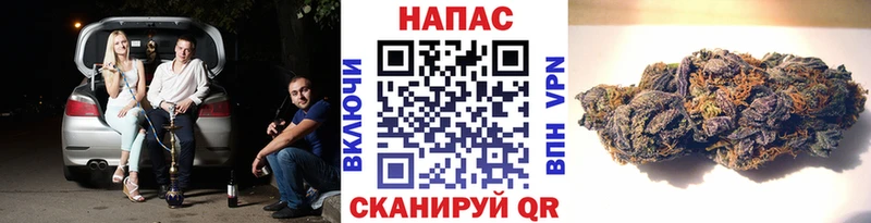 Каннабис сатива  дарнет шоп  Зеленогорск 